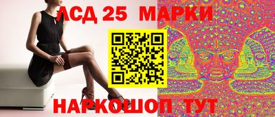 мяу мяу мука Тула