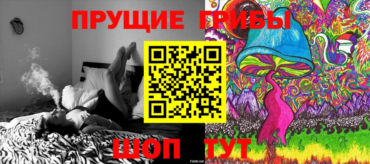 Псилоцибиновые грибы ЛСД  Галлюциногенные грибы Psilocybe  Тында  Вход с VPN 